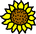 Please Turn Images On So you can see them!